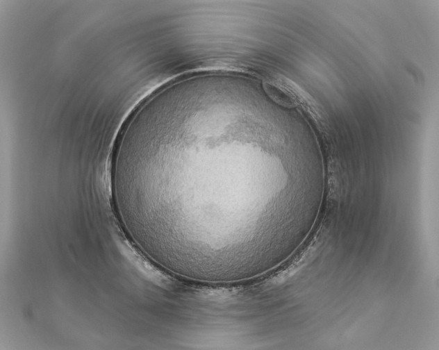 X0000112820892200909041512