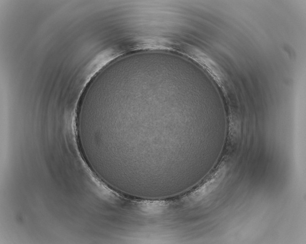 X0000112820893200909041512