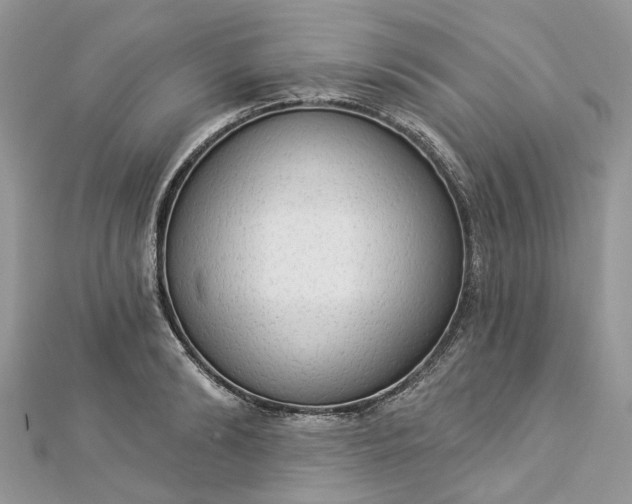 X0000112820894200909041512