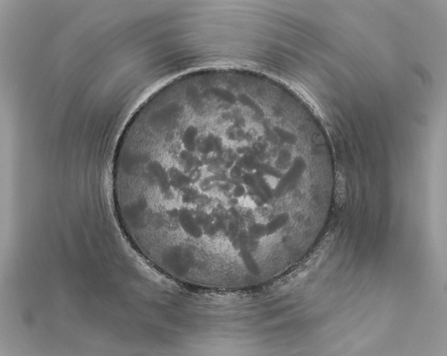 X0000112820895200909041512