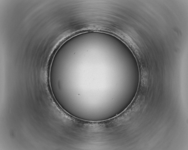 X0000112820896200909041512