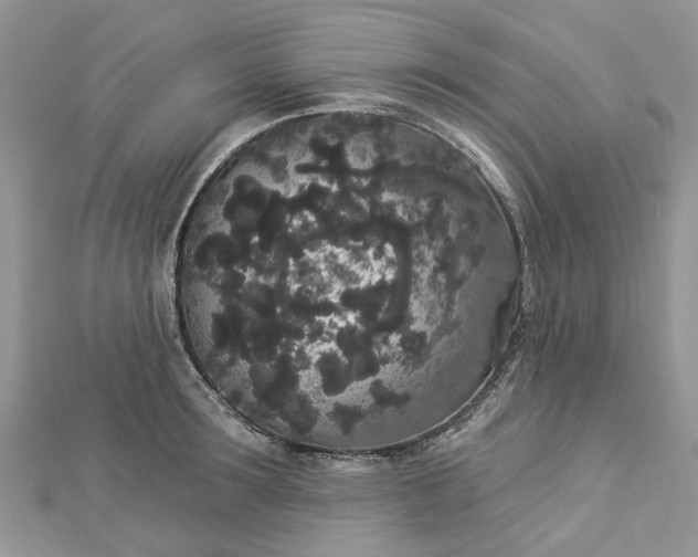 X0000112820899200909041512