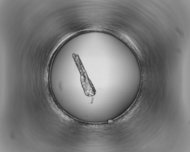 X0000112820900200909041512