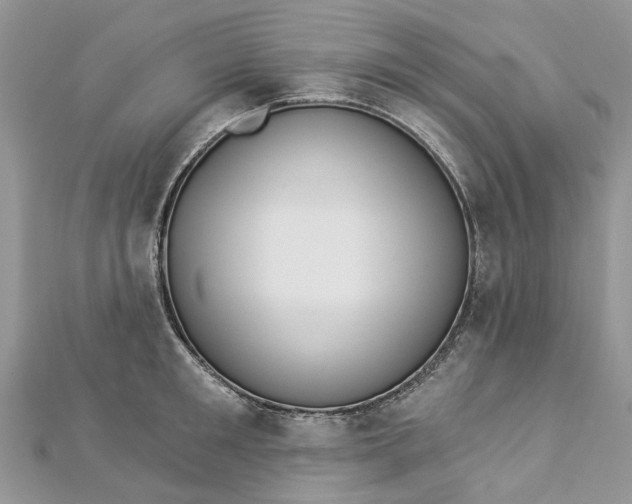 X0000112820901200909041512