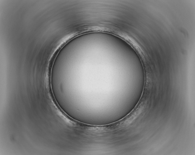 X0000112820902200909041512