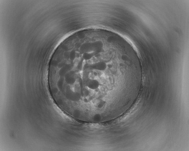 X0000112820903200909041512