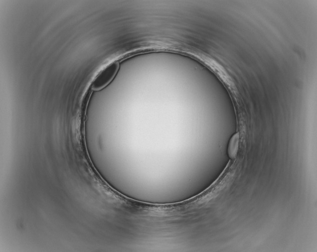 X0000112820904200909041512