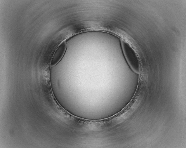 X0000112820905200909041512