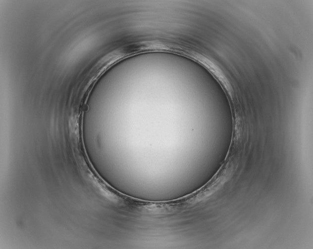 X0000112820906200909041512