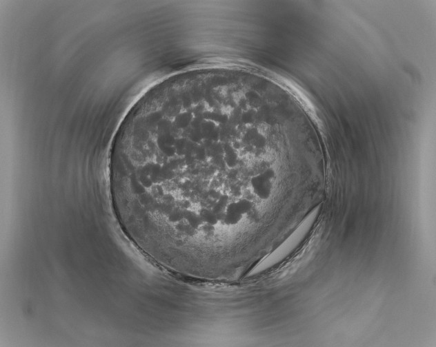 X0000112820907200909041512