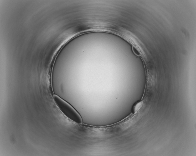 X0000112820908200909041512