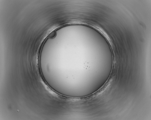 X0000112820909200909041512