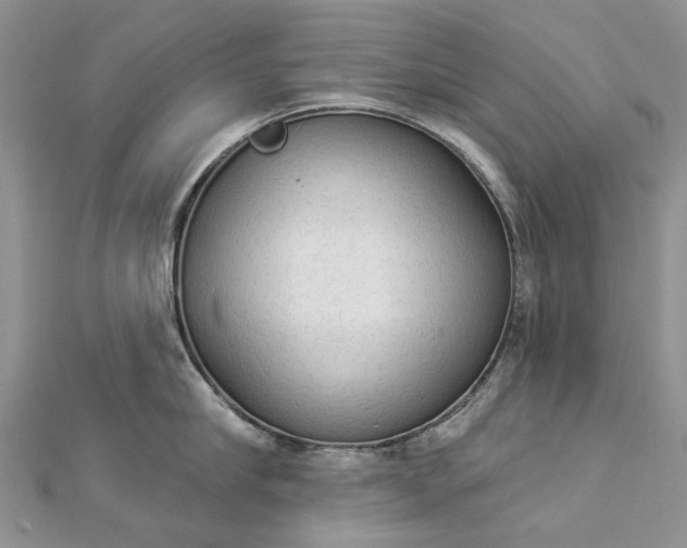 X0000112820910200909041512