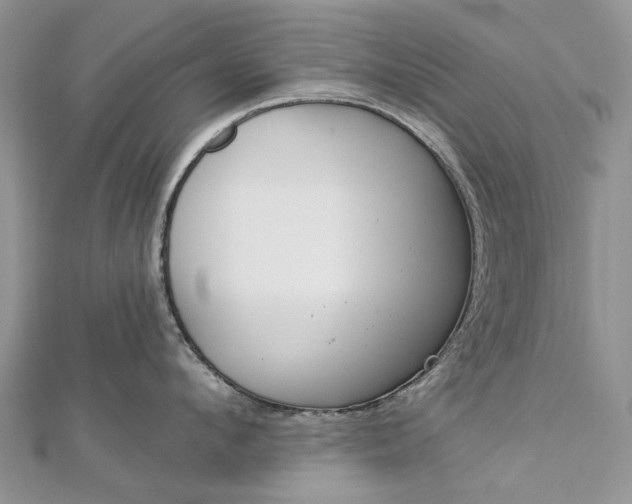 X0000112820912200909041512