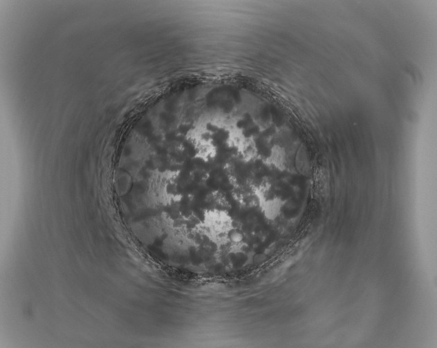 X0000112820913200909041511