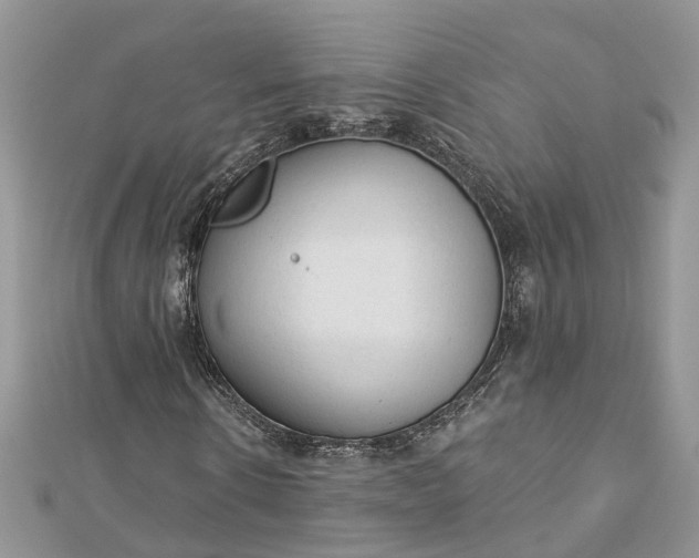 X0000112820914200909041511