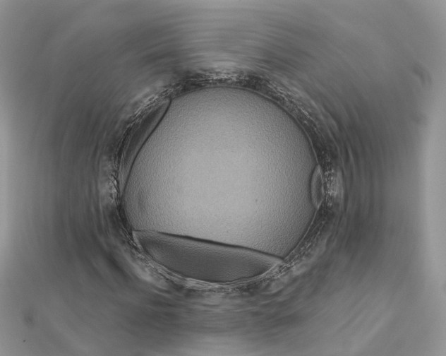 X0000112820916200909041511