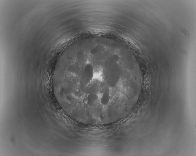 X0000112820917200909041511