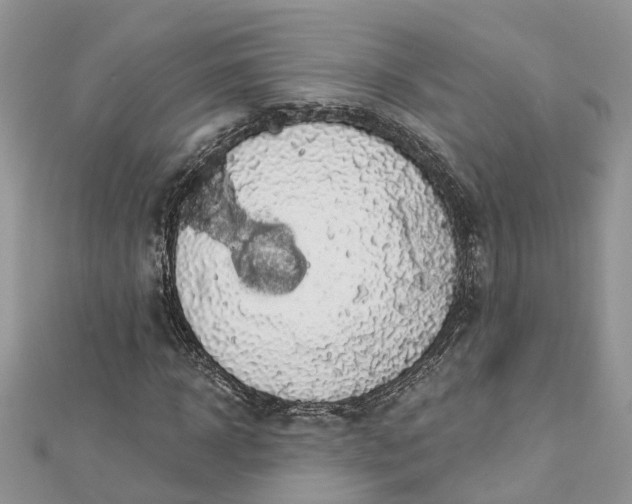 X0000112820918200909041511