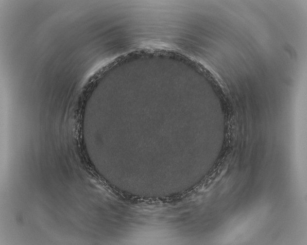 X0000112820919200909041511