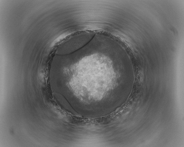 X0000112820920200909041511