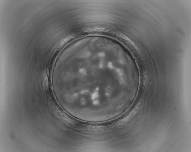 X0000112820921200909041511