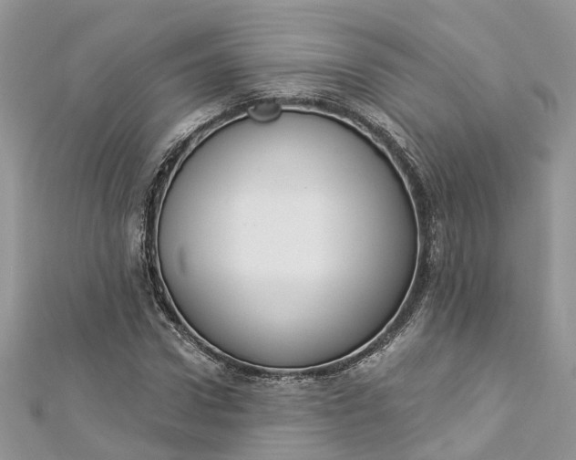 X0000112820922200909041511