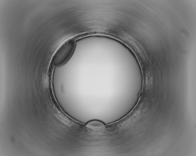 X0000112820924200909041511