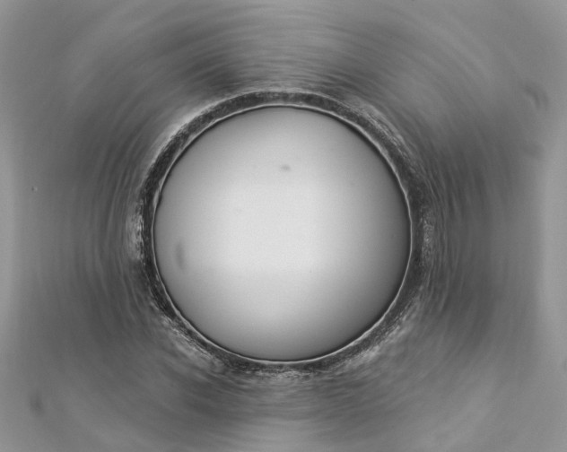 X0000112820926200909041511