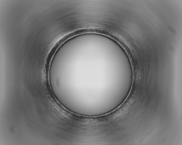 X0000112820927200909041511