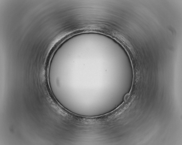 X0000112820928200909041511