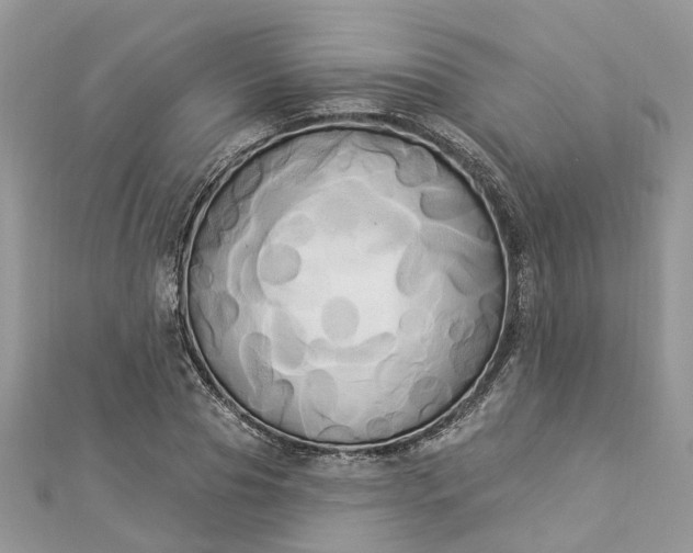 X0000112820929200909041511