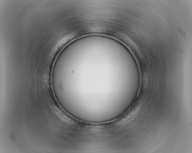 X0000112820930200909041511