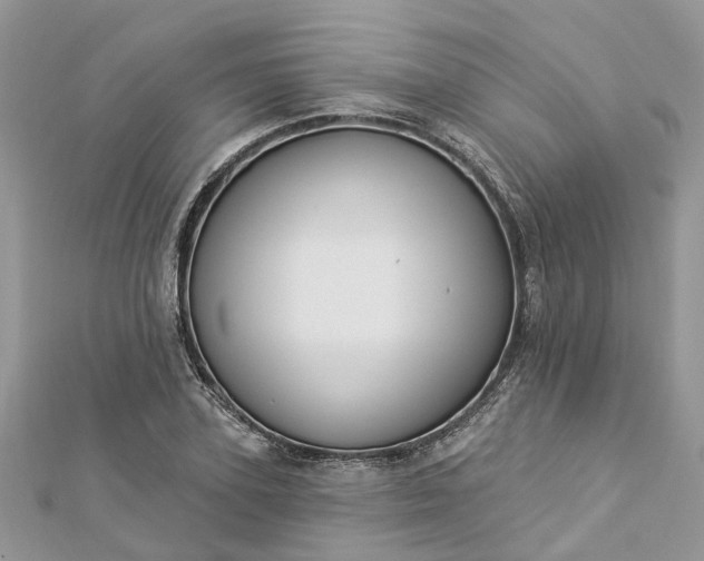 X0000112820931200909041512