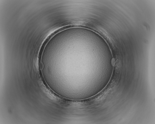 X0000112820932200909041512