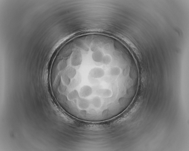 X0000112820933200909041512