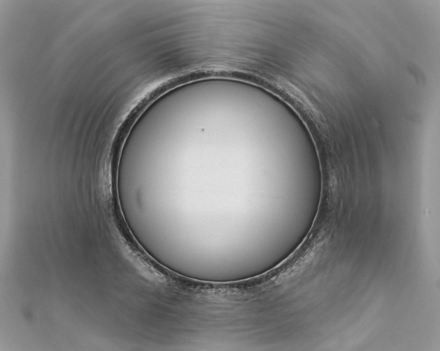 X0000112820934200909041512