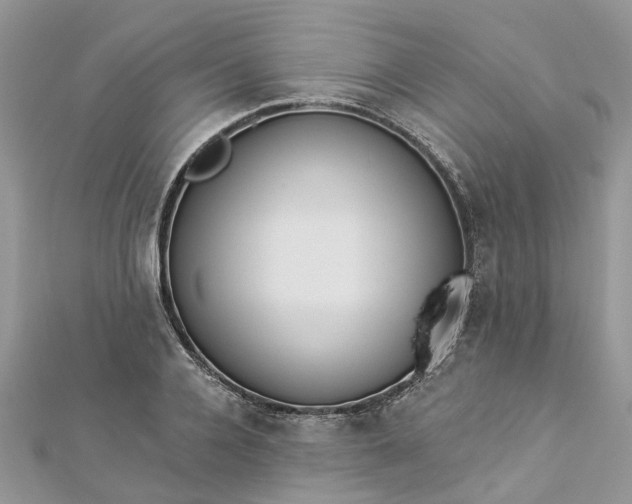 X0000112820936200909041512