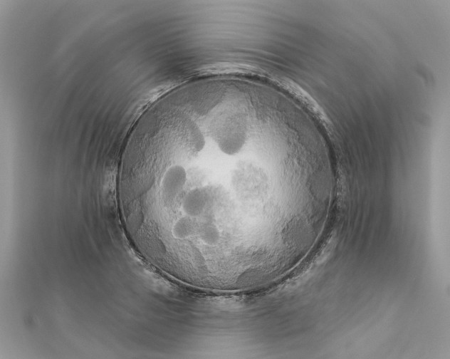 X0000112820937200909041512