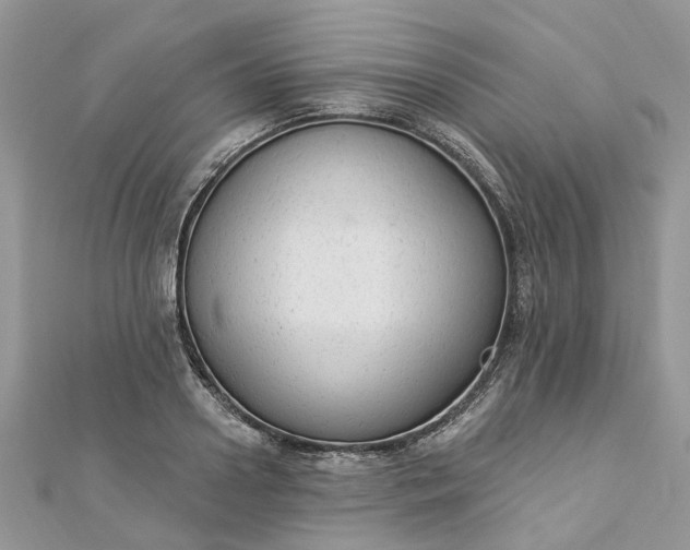 X0000112820938200909041512