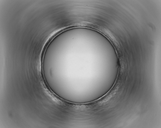 X0000112820940200909041512