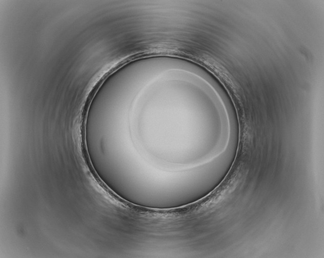 X0000112820941200909041512