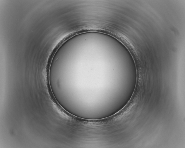 X0000112820942200909041512