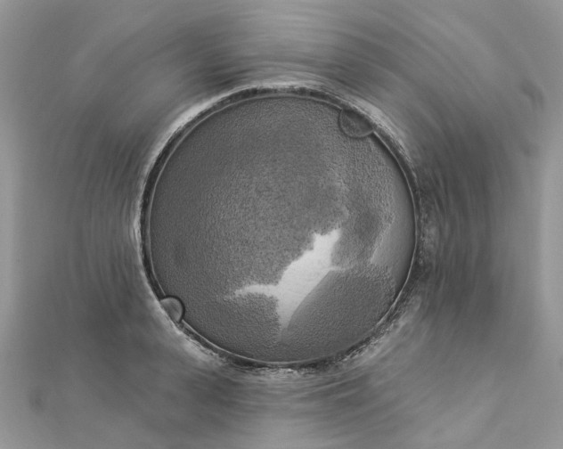 X0000112820943200909041512