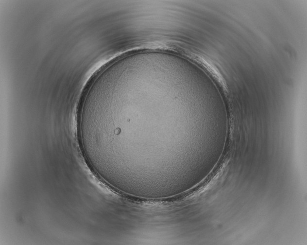 X0000112820944200909041512