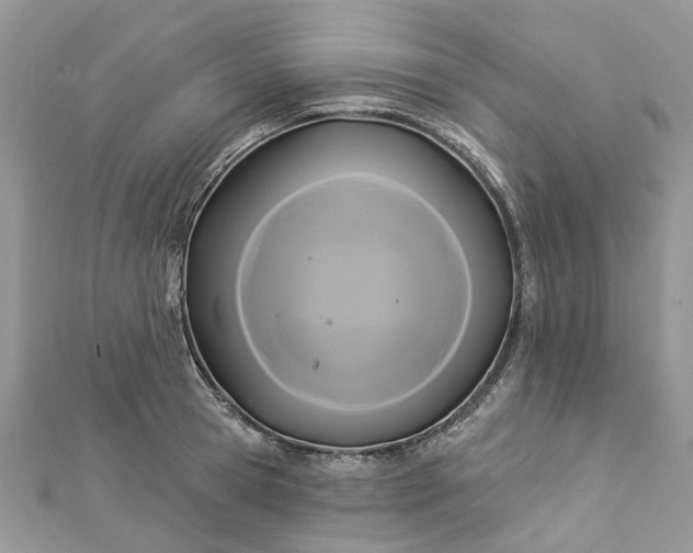 X0000112820945200909041512