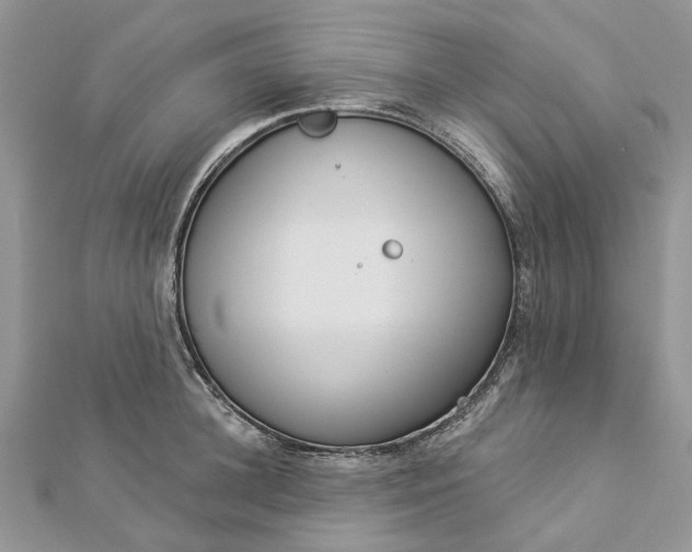 X0000112820948200909041512