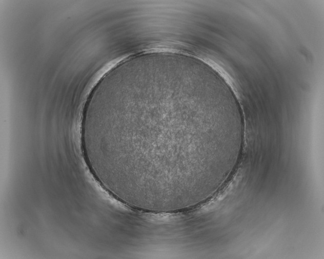 X0000112820949200909041512