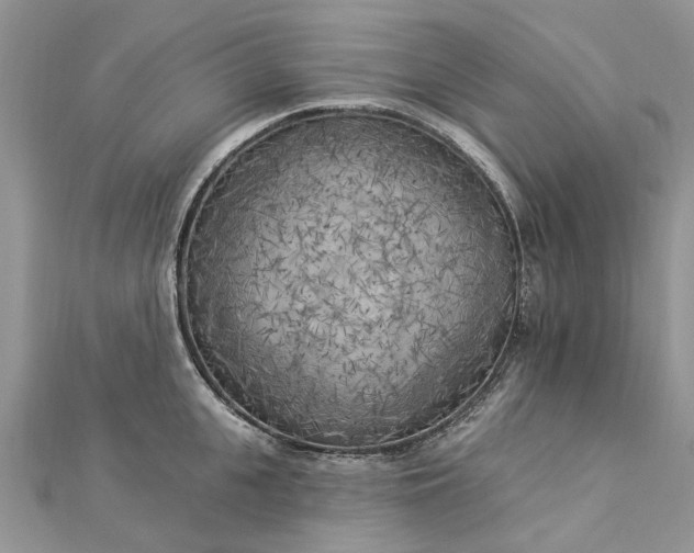 X0000112820951200909041512