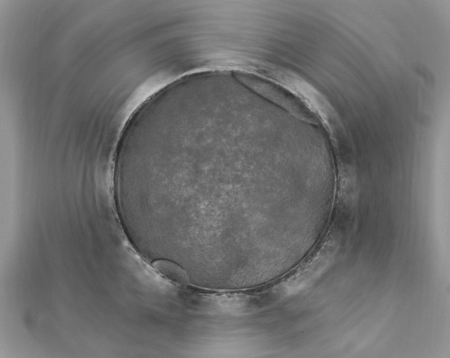 X0000112820952200909041512